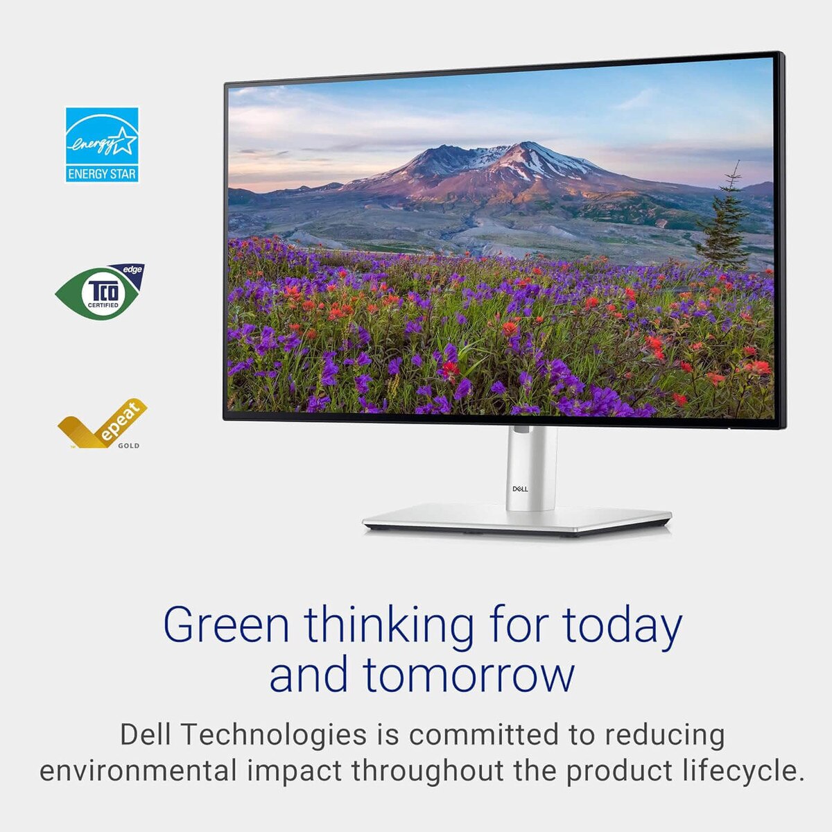 Dell UltraSharp 24-inch Monitor (U2424H)